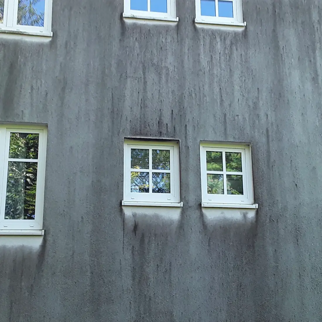 Mehrfamilienhaus-Fassade vor der Reinigung mit Algen und Grünbelag