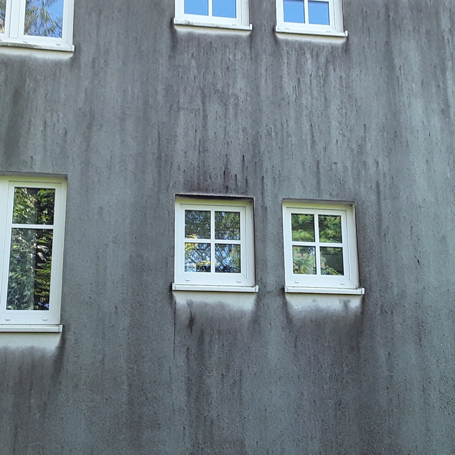 Mehrfamilienhaus-Fassade vor der Reinigung mit Algen und Grünbelag
